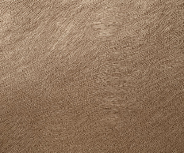 Véu de Fibra de Vidro