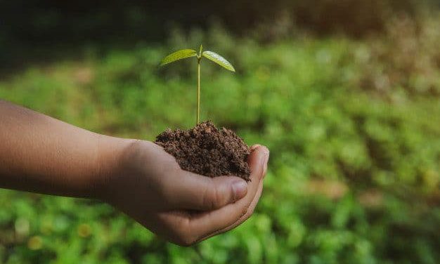 Aterro Zero: o que é e como as empresas podem contribuir para a redução dos impactos ambientais