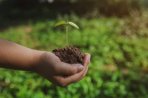 Aterro Zero: o que é e como as empresas podem contribuir para a redução dos impactos ambientais