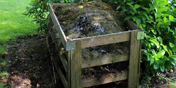 O que é e como funciona uma composteira?