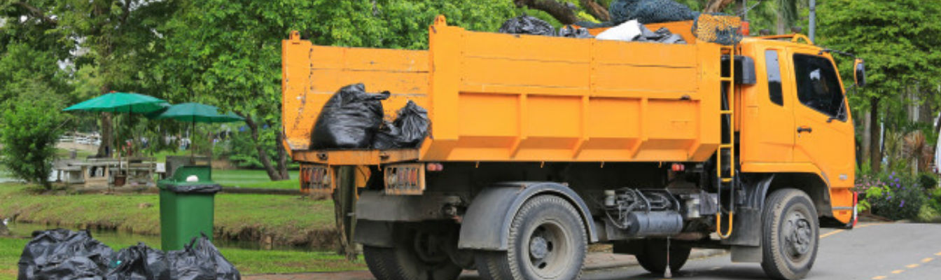 Manifesto de Transporte de Resíduos